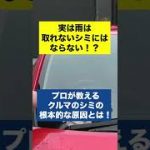 実はクルマのウォータースポットの原因は雨ではなかった！？プロが教える根本的な原因とは！#洗車 #洗車の仕方 #shorts #ウォータースポット #コーティング #手洗い洗車