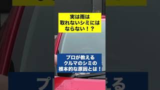 実はクルマのウォータースポットの原因は雨ではなかった！？プロが教える根本的な原因とは！#洗車 #洗車の仕方 #shorts #ウォータースポット #コーティング #手洗い洗車
