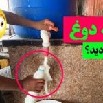 چشمه دوغ را دیده بودید؟