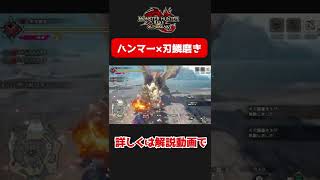 これもう砥石いらなくない？刃鱗磨き×ハンマー【モンハンサンブレイク】