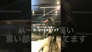 GUCCI君 磨き体験中