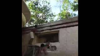 They plan underground house and a stunning swimming pool.