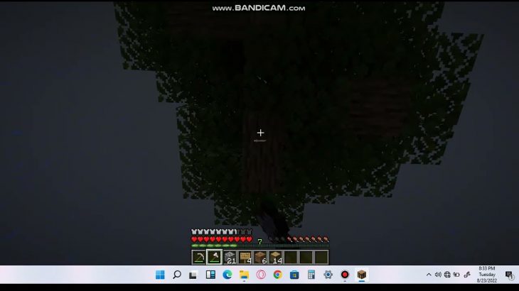 Tour Of my underground house