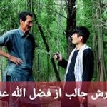 گزارش جالب از فضل الله عدیل