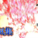 ～合気・刃鱗磨き集～【モンハンサンブレイク】