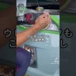 ヘッドライト磨き