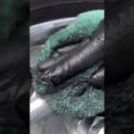 水無しハイトレール　ハイトレ革命　トラックアルミホイール磨き