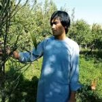 آیا در بخش کار خود استاد شده است؟
