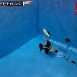 水曜日のダウンタウン寝坊癖相方 遅刻させチャレンジ